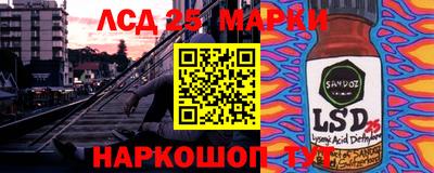 гидропоника Вязьма