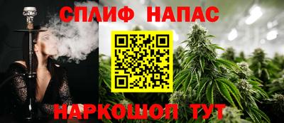 шишки Вязники