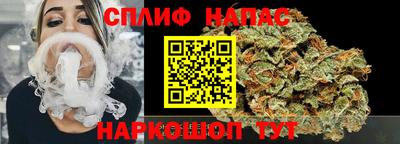 гидропоника Вязьма