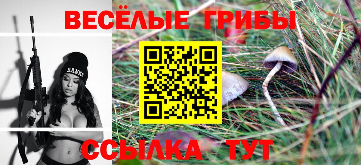 Галлюциногенные грибы мицелий Мценск